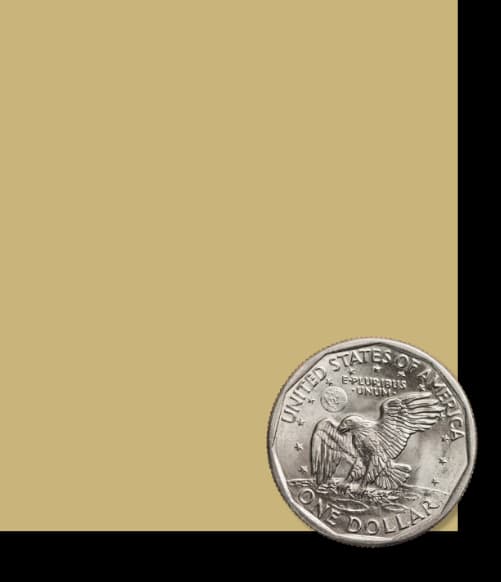 A Morgan silver dollar